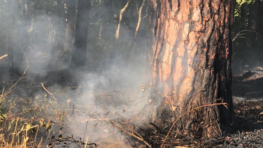 Bei Cadolzburg: 500 Quadratmeter Wald in Flammen