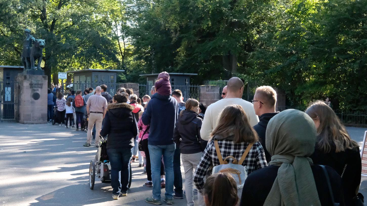 Das anhaltend gute Wetter in diesem Jahr sorgte für deutlich höhere Besucherzahlen im Nürnberger Tiergarten.