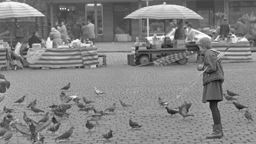 Verwöhnt und verhätschelt: die Tauben. Wo immer sich ein Mensch mit Futter zeigt, kommen sie in Scharen. Hier geht es zum Kalenderblatt vom 6. Oktober 1968: Fänger fahnden nach Federvieh