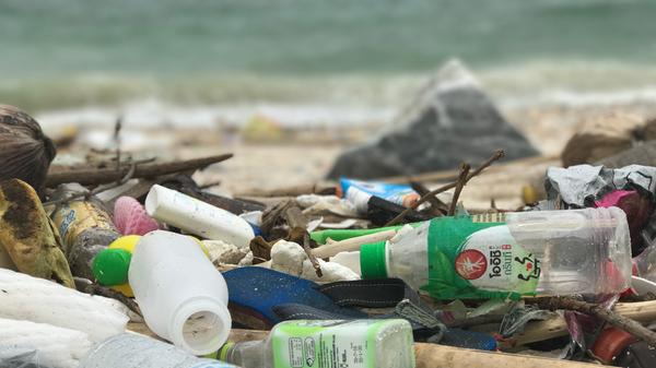 Plastik in der freien Wildbahn ist ein recht langlebiger Stoff: Bis eine Plastikflasche zersetzt ist, kann es schnell mehrere hundert Jahre dauern. Und auch eine Plastiktüte braucht mindestens zehn Jahre, bis sie sich in ihre Einzelteile aufgelöst hat.