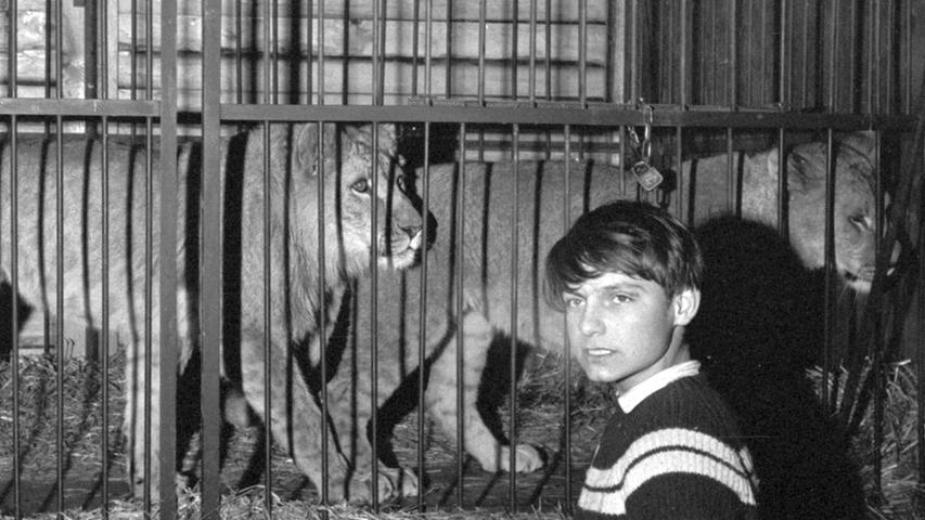 Der 16-jährigen Artist Rolf G., den die Löwin angesprungen hatte, wurde glücklicherweise nur leicht verletzt. So fand der Löwen-Spaziergang in Nürnbergs Südstadt ein glimpfliches Ende.