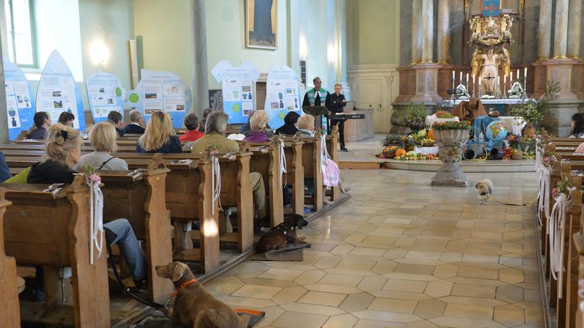 Auf vier Pfoten in die Kirche: Hundegottesdienst in Erlangen
