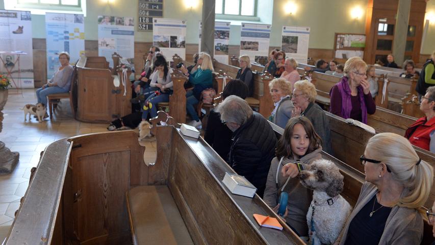 Auf vier Pfoten in die Kirche: Hundegottesdienst in Erlangen