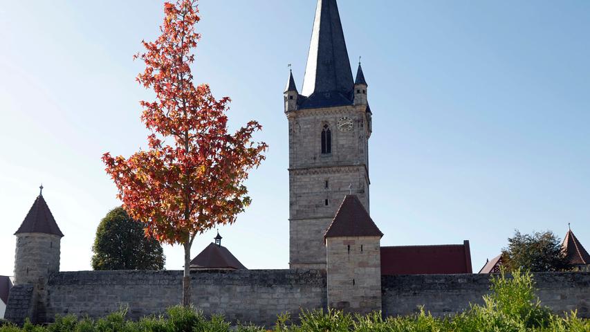Äpfel, Sonne und bunte Blätter: So schön ist der Herbst im Landkreis Erlangen-Höchstadt