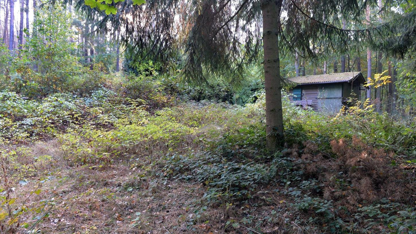 Bubenreuth bekommt Waldkindergarten 
