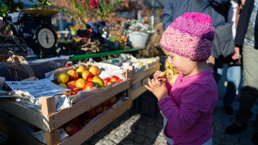 Goldener Herbst: Die Obstbörse in Neumarkt