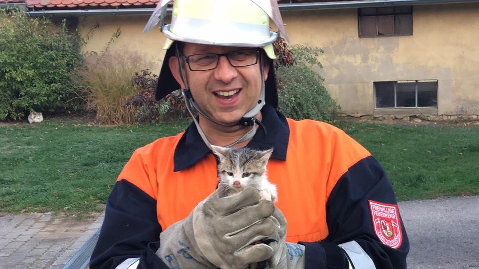 Thalmässinger Feuerwehr rettet Kätzchen aus Kanalrohr