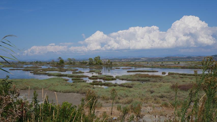 Die Karavasta-Lagune bei Divjaka