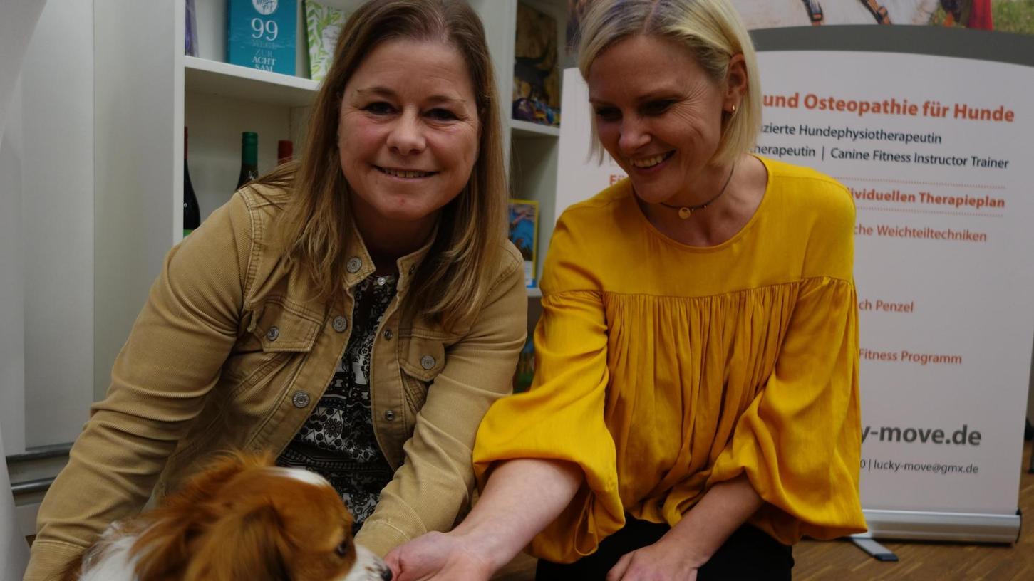 Erste Hilfe für den Hund: Tierärztinnen geben Tipps in Fürth
