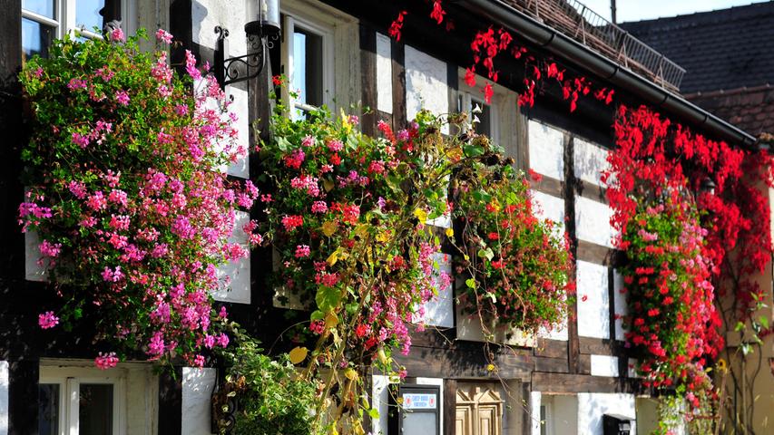Eine bunte Blumenpracht schmückt die "Lohmühle" in Forchheim.
