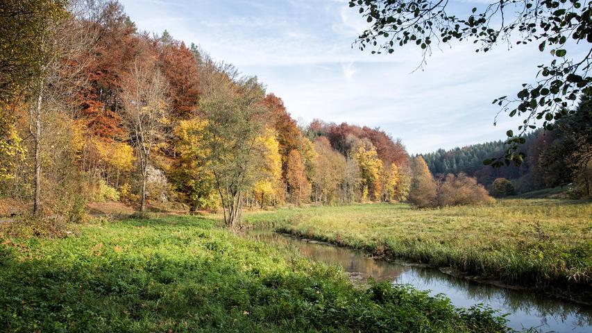 Herbst kommt im Aufseßtal auf dem berühmten Brauereienweg. Rechts der kleine gleichnamige Fluss, links der farbenprächtige Laubwald und dazwischen der Wanderweg.