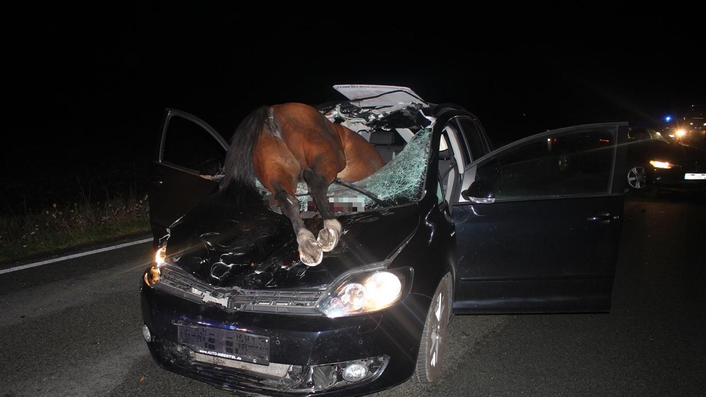 Ein Pferd ist bei einem Verkehrsunfall durch die Windschutzscheibe eines Autos gekracht und verendet.