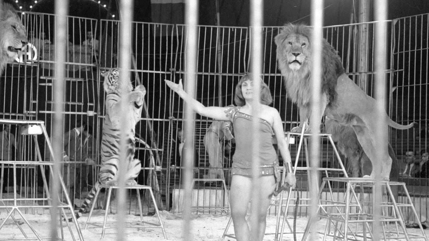 21. Oktober 1968: Räkeln mit Raubkatzen
