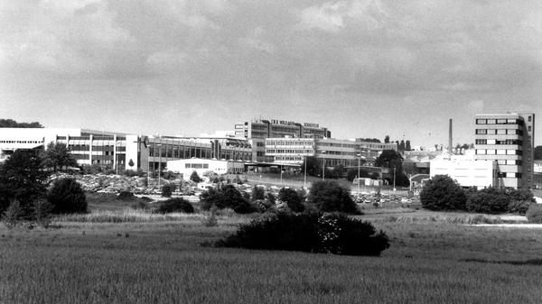 1949 entwickelte Georg Schaeffler den Nadelkäfig. Eine bahnbrechende Erfindung, denn das Patent war deutlich kompakter und zuverlässiger als alle bisherigen Wälzkörper. Ohne das Bauteil aus Herzogenaurach fuhr schon bald kein deutschen Auto mehr.