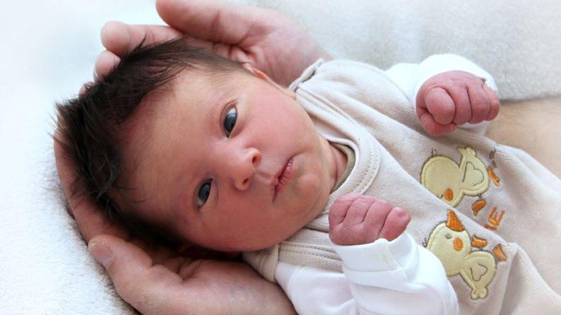 Wer macht denn da so große Augen? Die kleine Tara blickt nach ihrer Geburt am 21. Oktober im Theresien-Krankenhaus mit wachem Blick in die Welt - und eine beeindruckende Haarpracht hat sie auch schon. Tara wog bei ihrer Geburt 3290 Gramm und maß 53 Zentimeter.