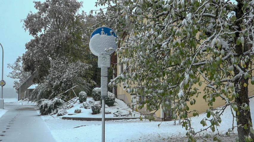 Ein Traum in Weiß: Erster Schnee verzaubert die Region