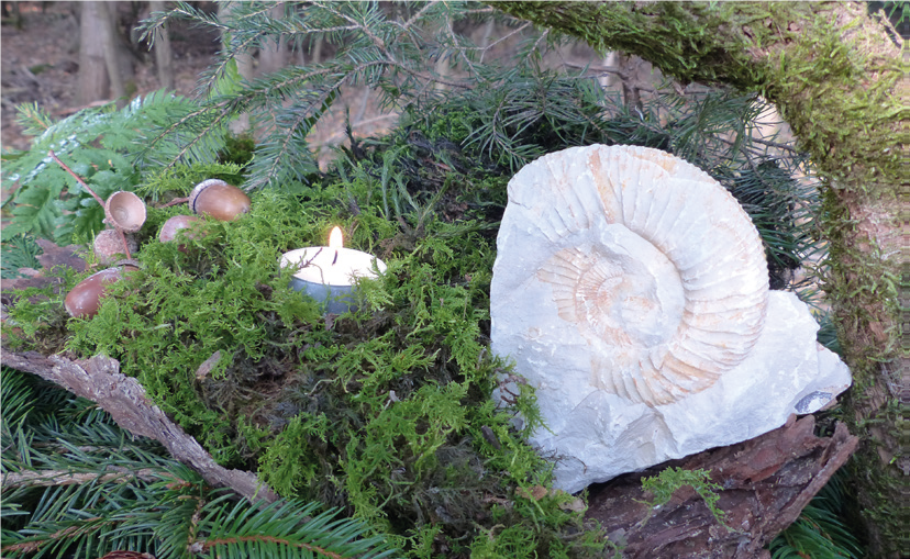 Auch Dinosaurier wollen Weihnachten feiern