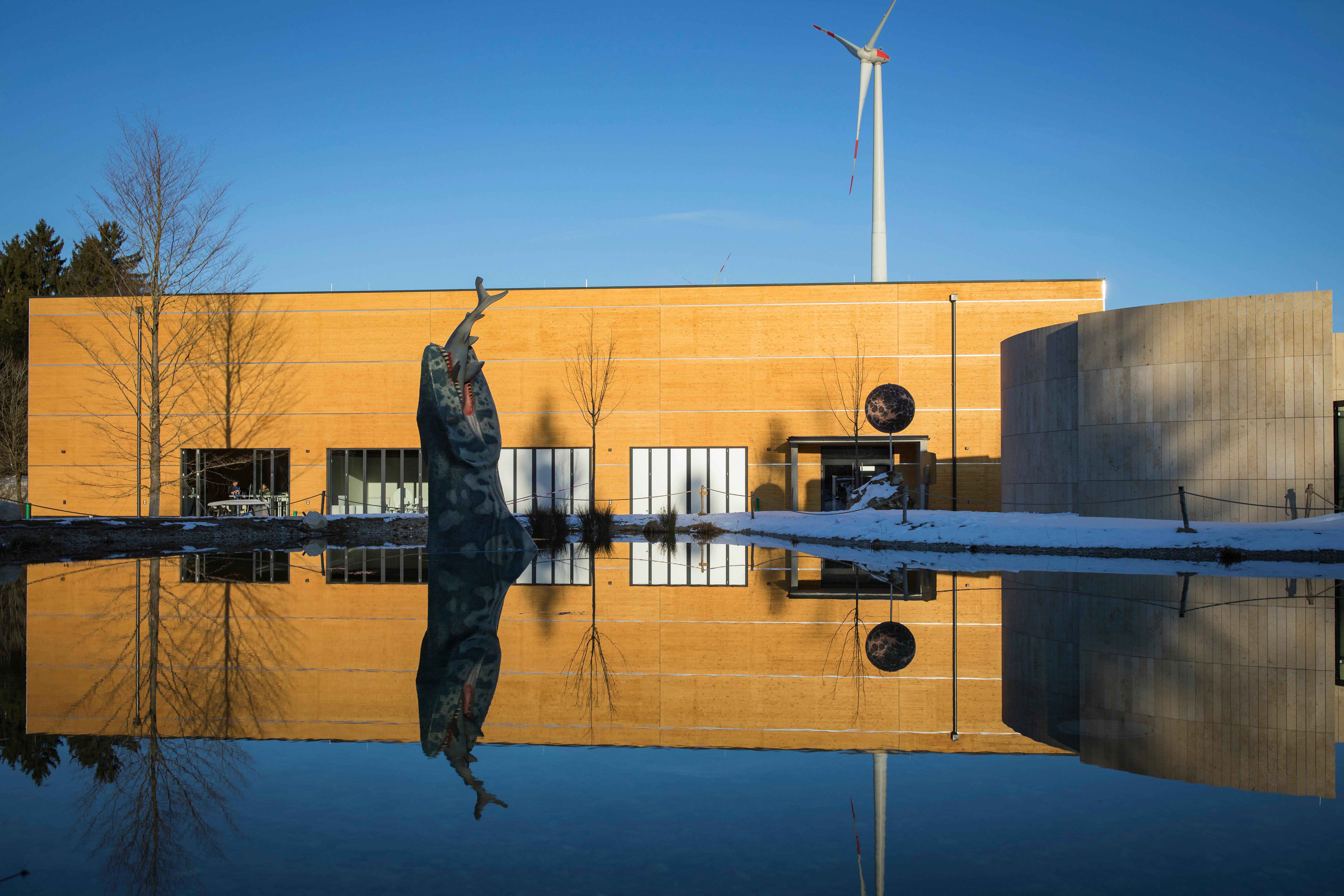 Auch Dinosaurier wollen Weihnachten feiern