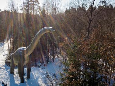 Auch Dinosaurier wollen Weihnachten feiern Auch Dinosaurier wollen Weihnachten feiern