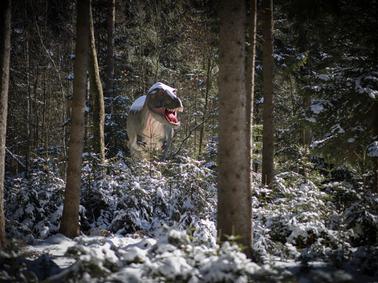 Auch Dinosaurier wollen Weihnachten feiern Auch Dinosaurier wollen Weihnachten feiern