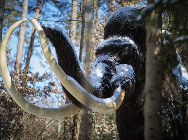 Auch Dinosaurier wollen Weihnachten feiern Auch Dinosaurier wollen Weihnachten feiern