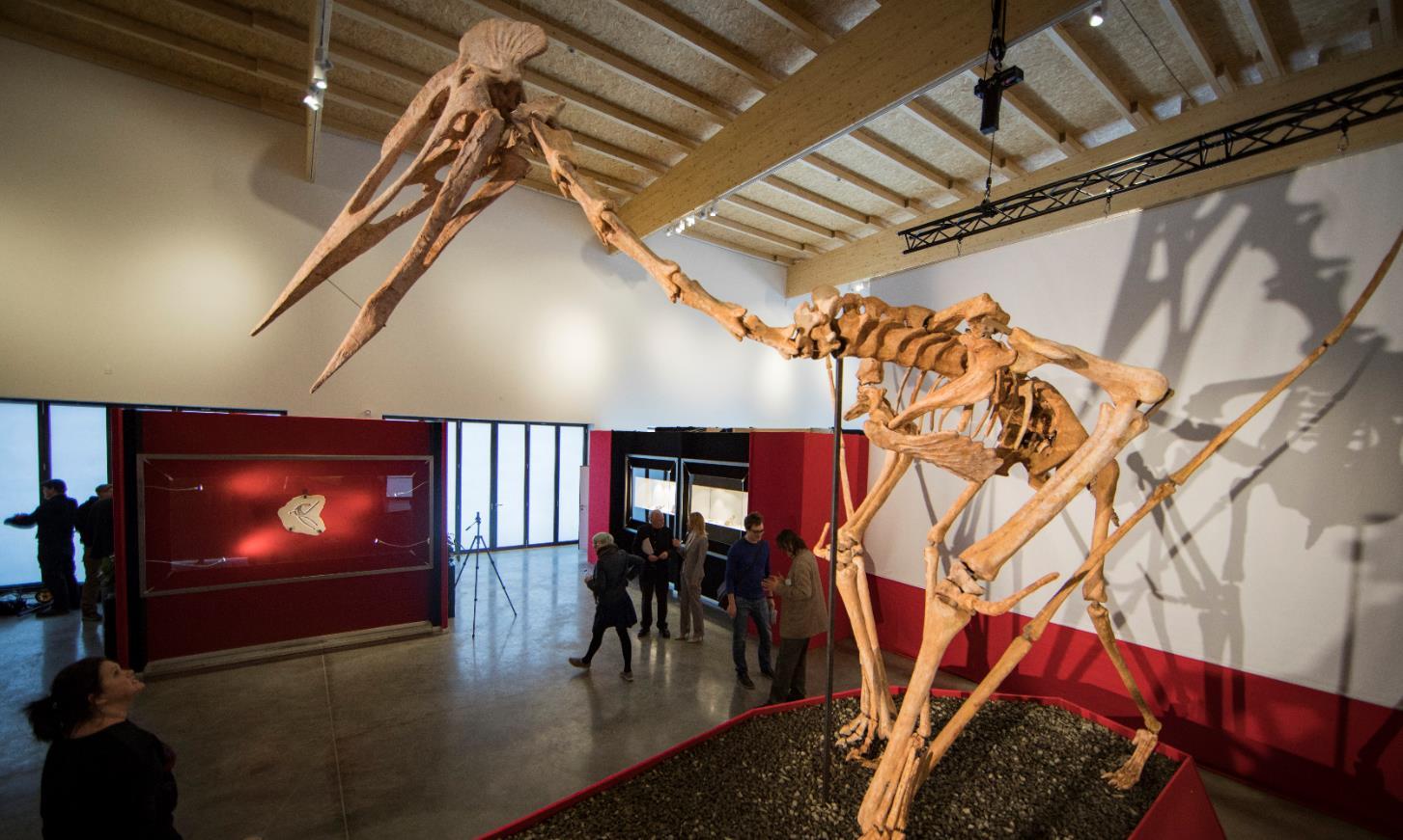 Auch Dinosaurier wollen Weihnachten feiern