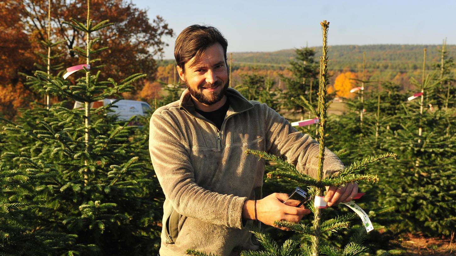 Der perfekte Christbaum muss zehn Jahre wachsen