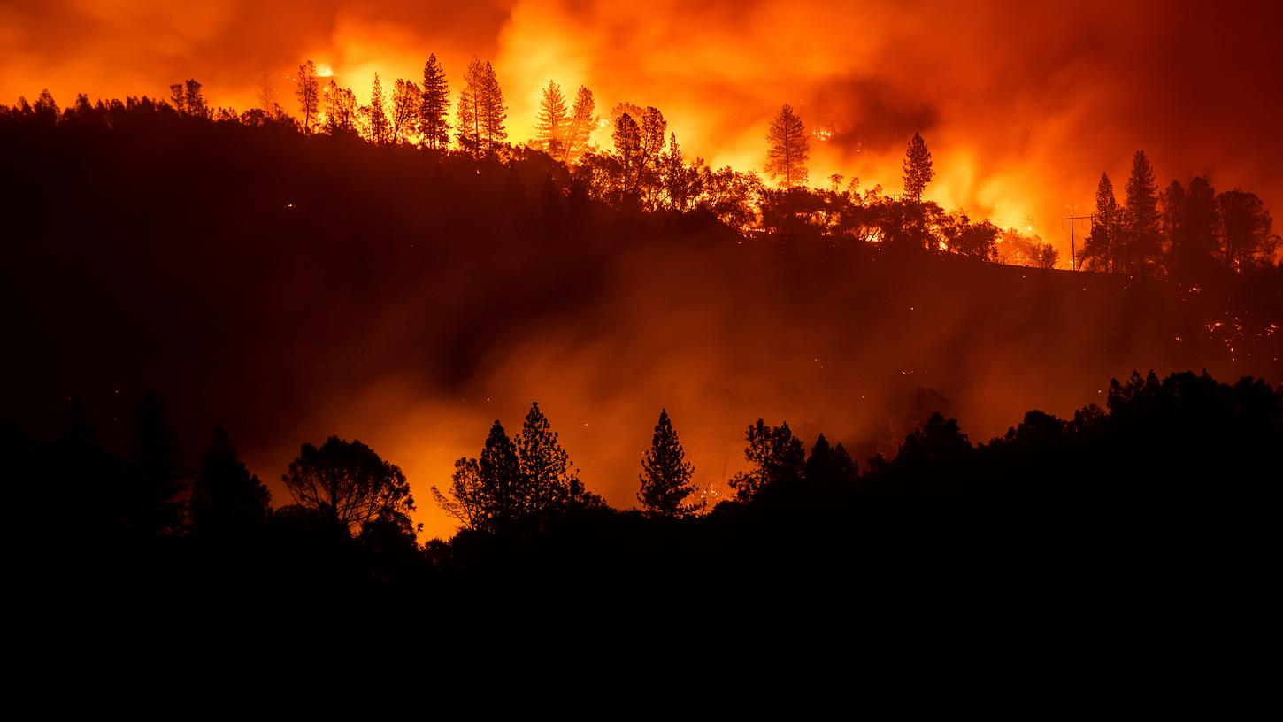 Die schweren Waldbrände in Kalifornien haben verheerende Schäden angerichtet und mindestens 31 Menschen das Leben gekostet.