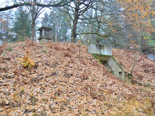 Hauptsmoorwald Bamberg: Kampf geht in heiße Phase