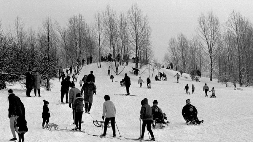 Der Hügel im Marienbergpark ist dicht bevölkert mit städtischen Wintersportlern.