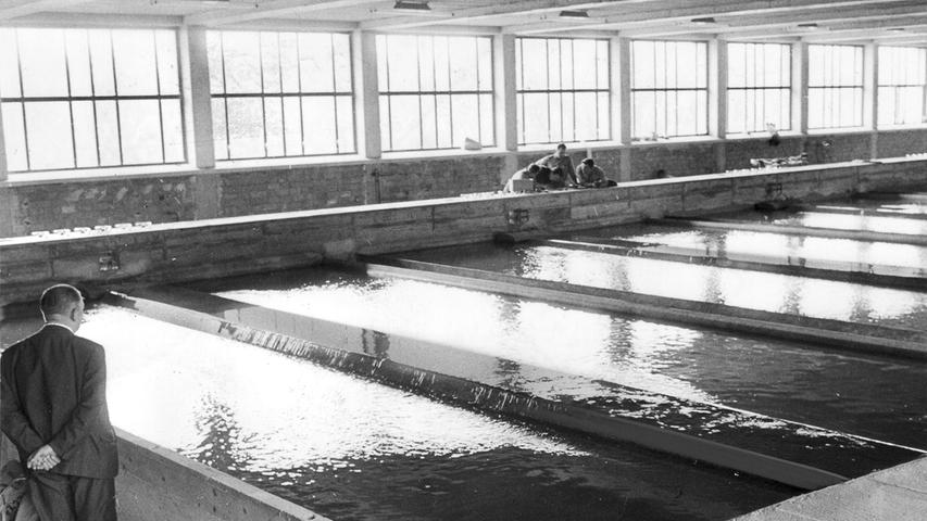 "Nicht so wohlschmeckend": das oftmals im Wasserwerk Mühlhof eingespeiste Pegnitzwasser. Hier geht es zum Kalenderblatt vom 25. November 1968: "Ranna-Sprudel" bereitet Kummer