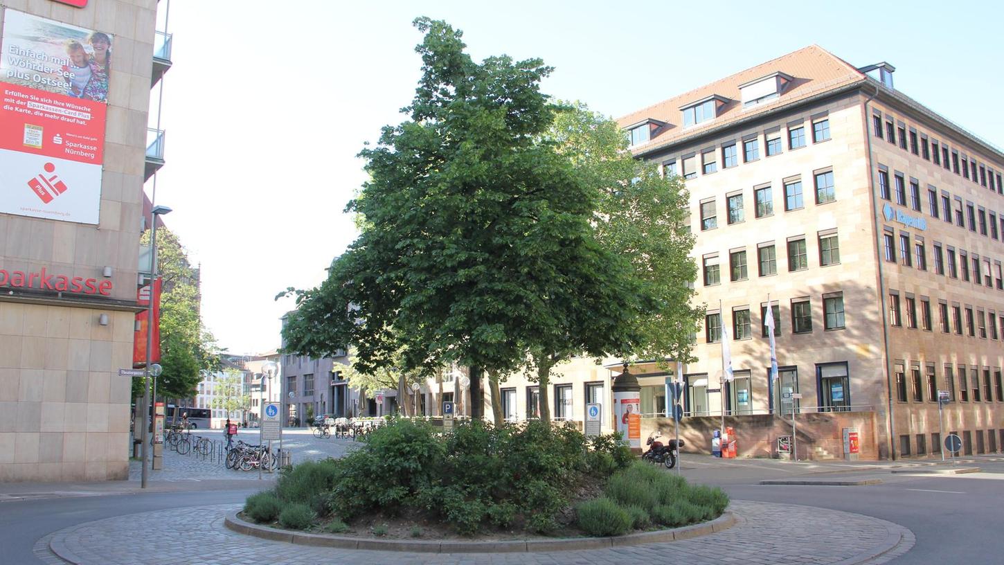 Der Baum im Rondell an der Lorenzer Straße wurde zum Andenken an Johanna Linde Hübsch gepflanzt. Die meisten Passanten wissen nicht, was es mit der Linde neben der Sparkasse auf sich hat.