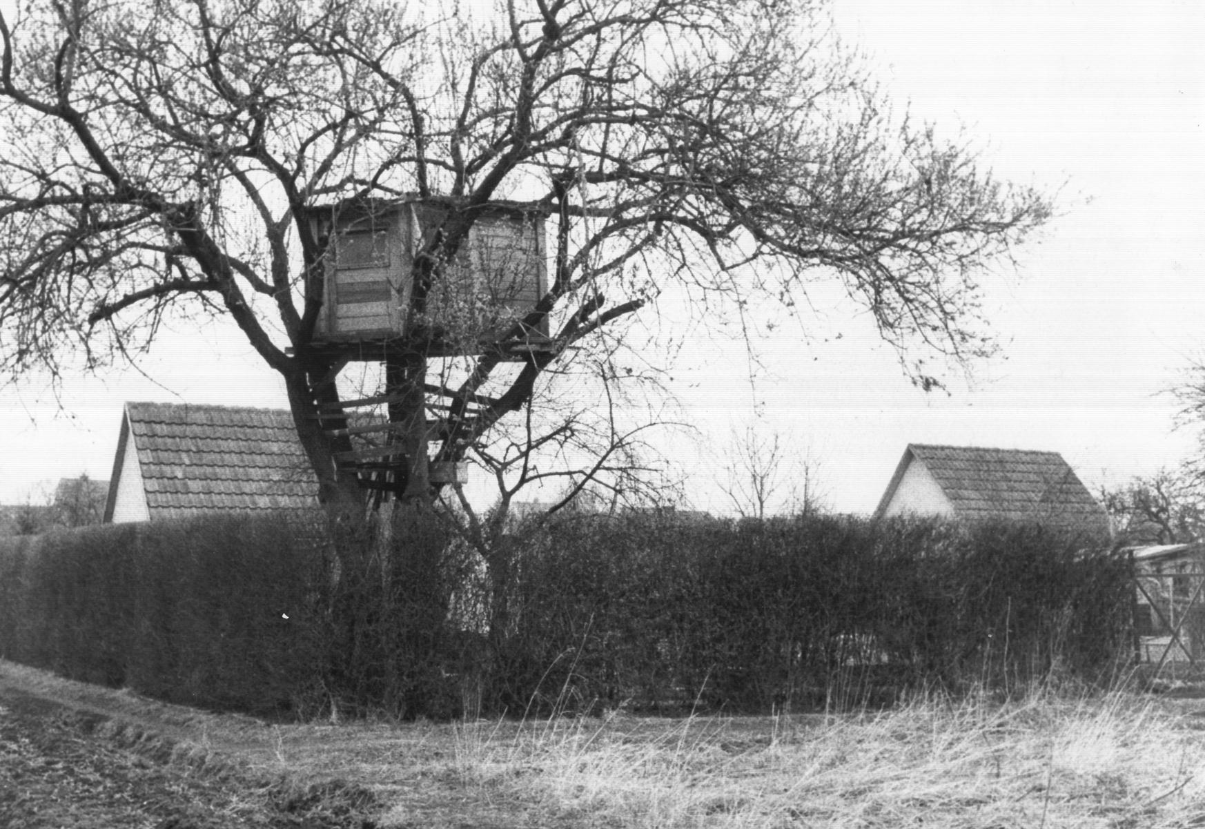 Anfang der 1980er-Jahre geriet ein Nürnberger Baumhaus in die Schlagzeilen, weil sich dort etwas Grausiges ereignet hatte. Abgründe taten sich auf, die selbst erfahrene Ermittler und Juristen erschütterten: Ein Teenager tötete dort zwei kleine Jungen.