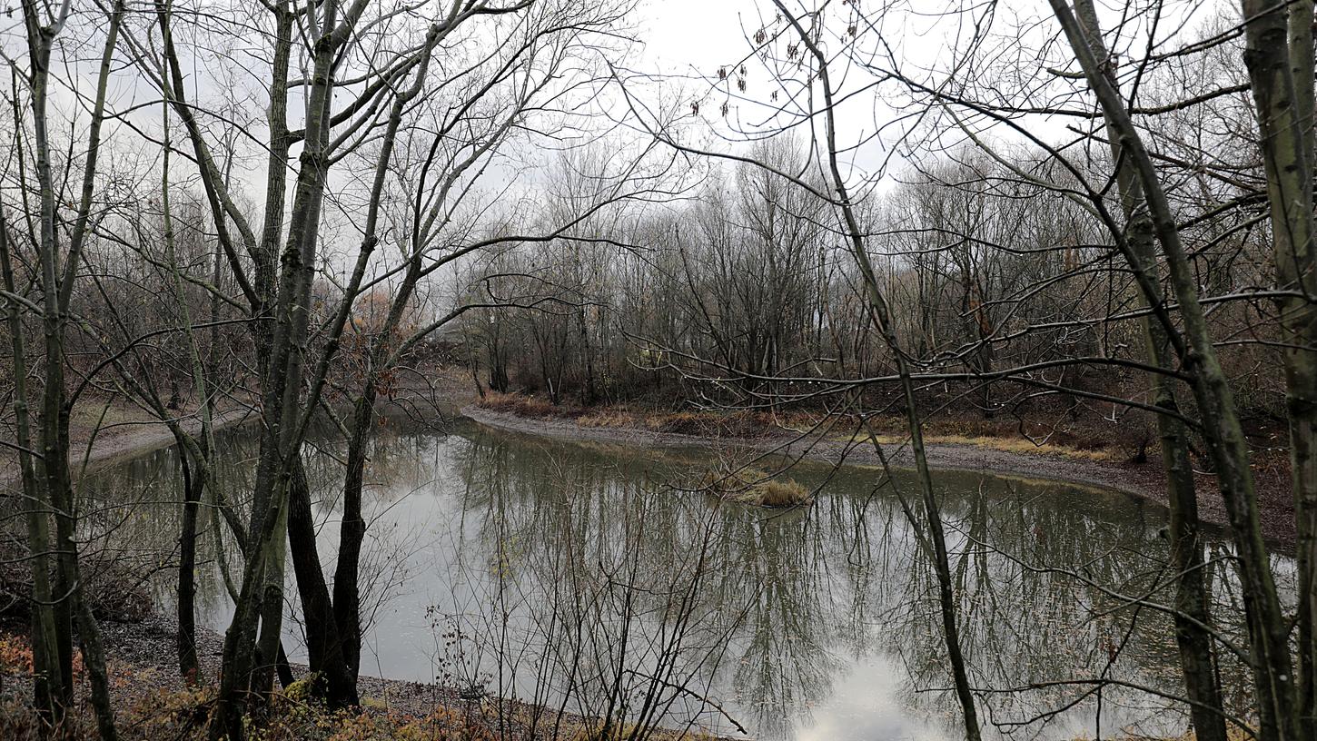 Bäume spiegeln sich in einem See an der Straße Auf dem Mirzengrehn, an dem die Kleidung und Tasche der getöten 17-Jährigen gefunden wurden.