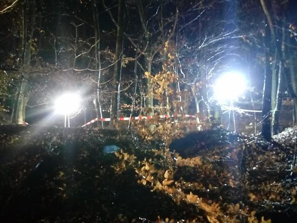 An einer unzulänglichen Stelle im Wald zwischen Haibach und Gailbach fanden die beiden Spaziergänger das Skelett.