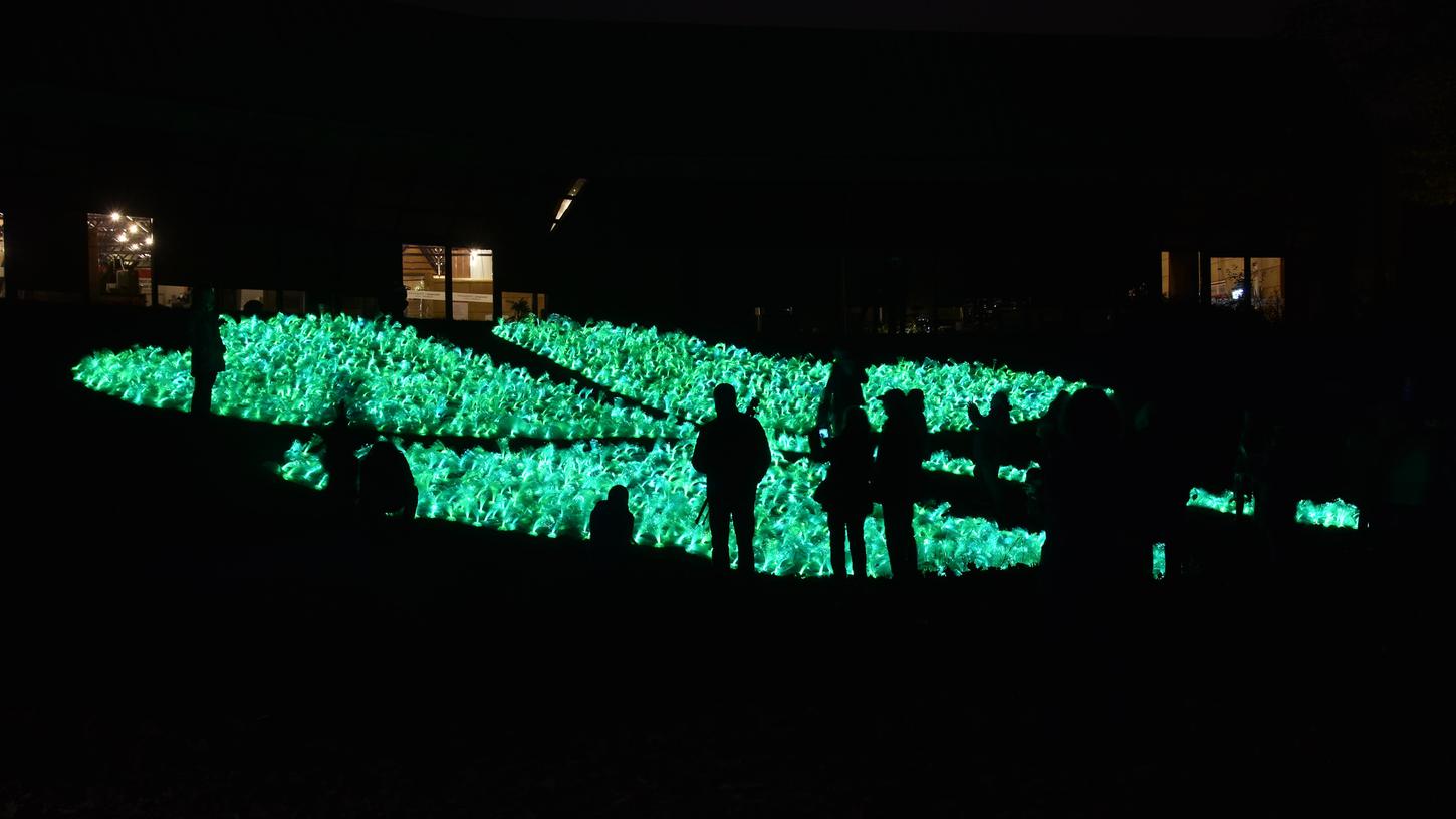 Für spektakuläre Lichteffekte sorgen die Fürther Glanzlichter, wie hier im Jahr 2018.