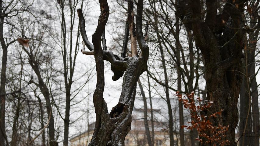 Wenn die Zeit friert im Stadtpark in Neumarkt