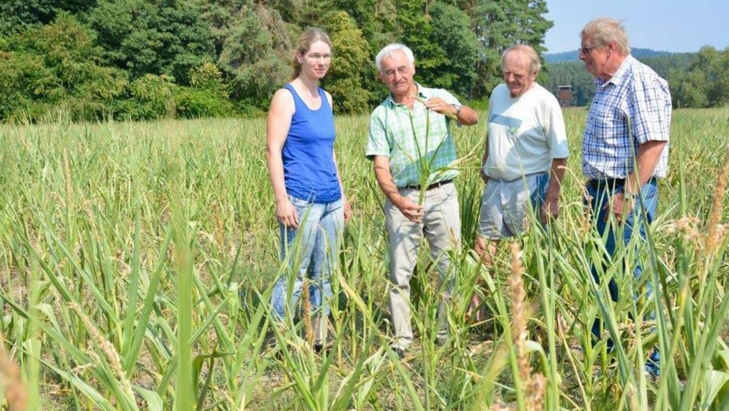 Landkreis Roth: 2018 ein extremes Jahr für Landwirte