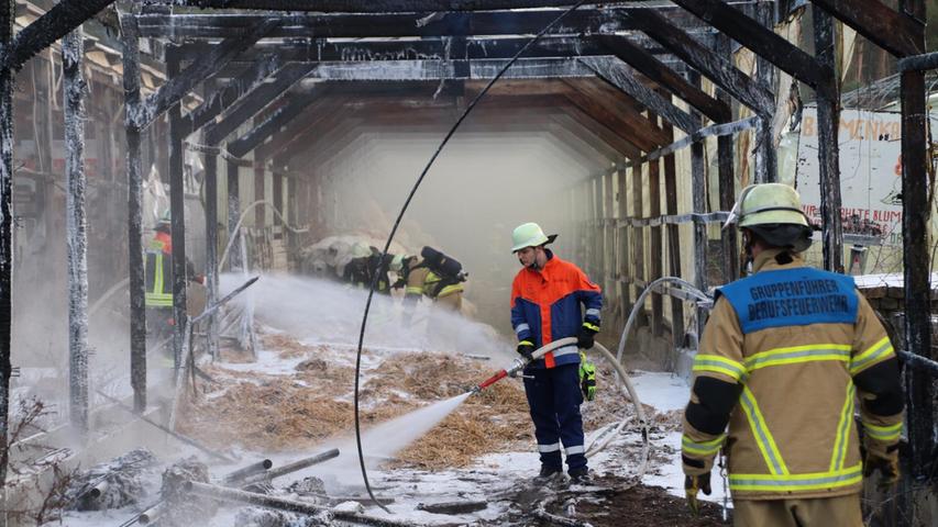 Feuer in Fürther Gewächshaus: Schuppen brannte komplett nieder
