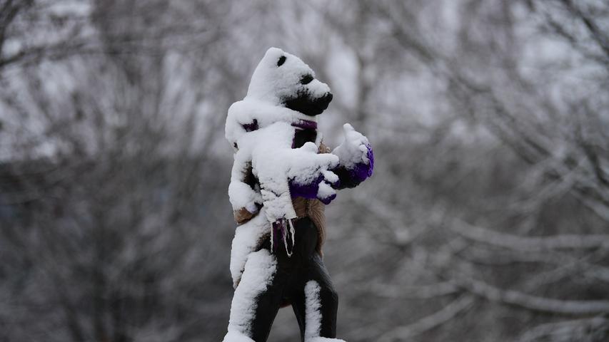 Der Bär macht auch bei Schneefall bella figura: Wirkt er hier nicht bereits wie sein eigenes Denkmal?