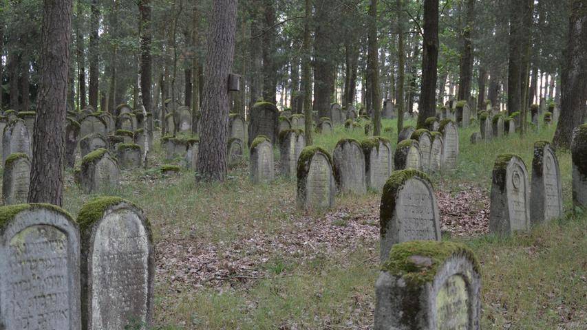 Nur zu Führungen geöffnet ist der jüdische Friedhof bei Zeckern, einer der größten jüdischen Friedhöfe Bayerns. Begräbnisse finden hier schon seit mehr als 80 Jahren nicht mehr statt.
