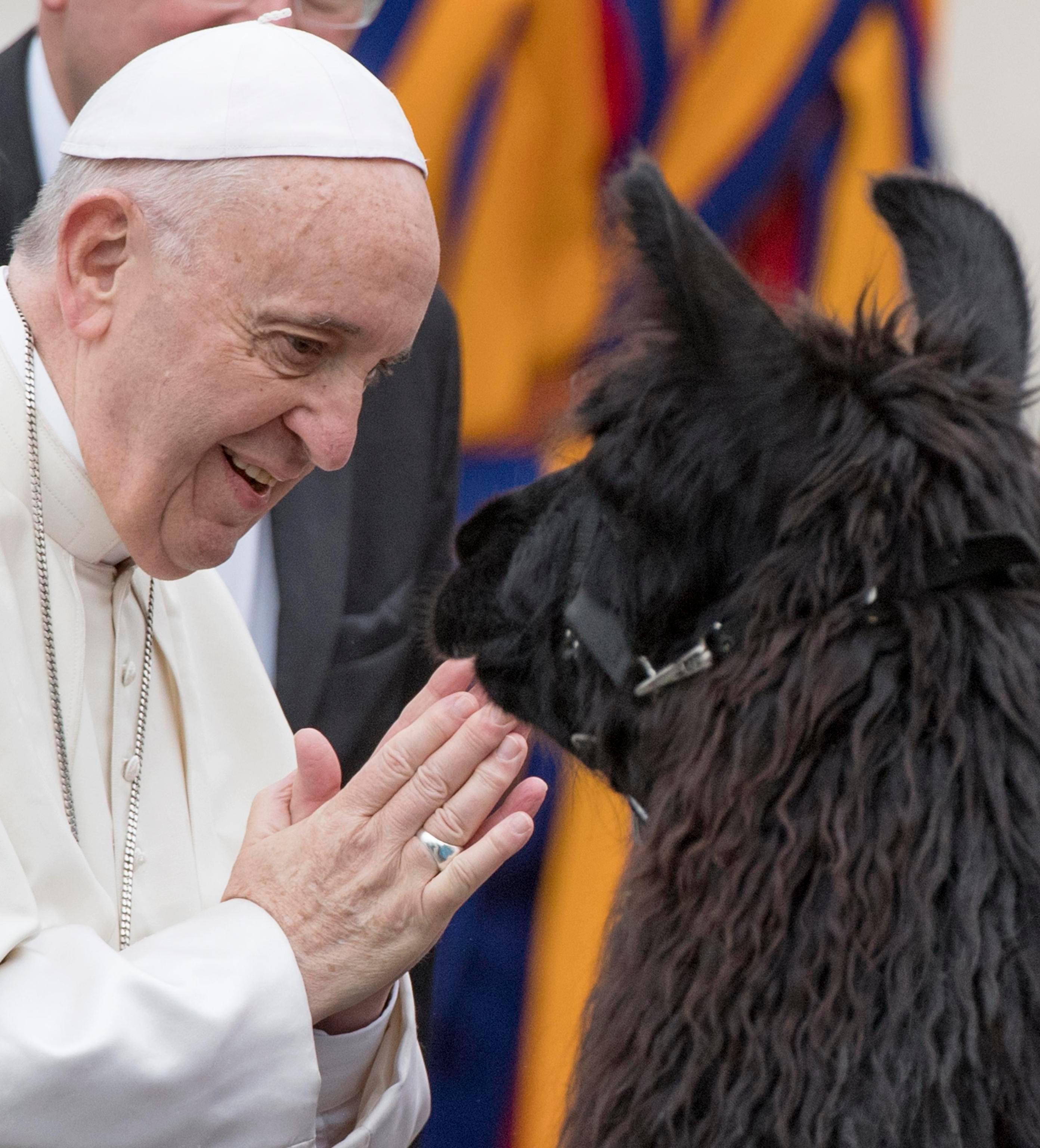 "Mir gefällt der Gedanke, dass der Allmächtige ein schlechtes Gedächtnis hat. Sobald er dir vergeben hat, vergisst er's. Weil er glücklich ist zu vergeben. Für mich reicht das." (November 2016)