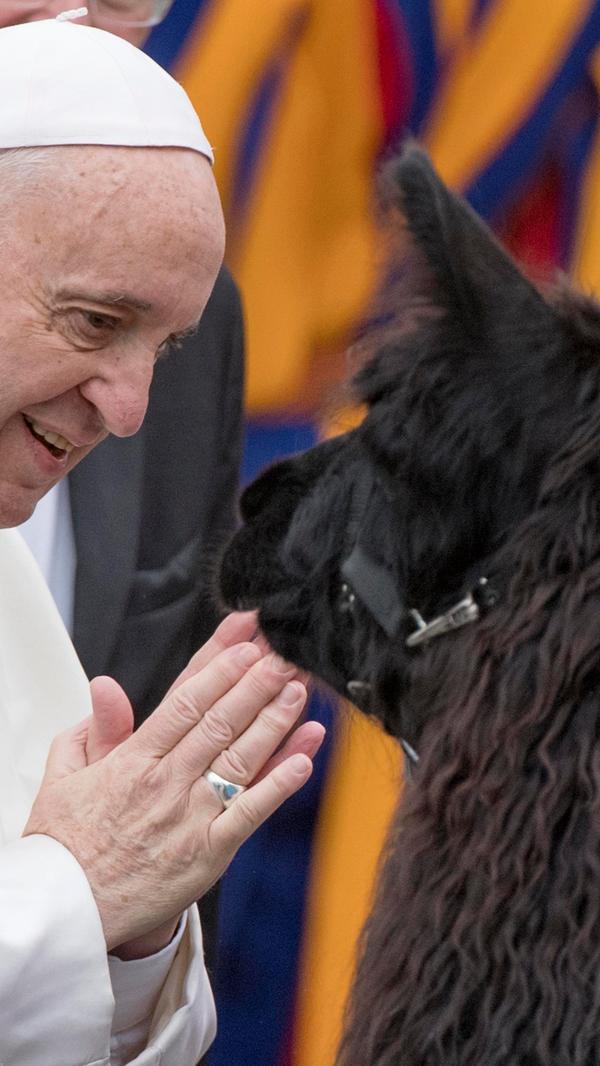"Mir gefällt der Gedanke, dass der Allmächtige ein schlechtes Gedächtnis hat. Sobald er dir vergeben hat, vergisst er's. Weil er glücklich ist zu vergeben. Für mich reicht das." (November 2016)