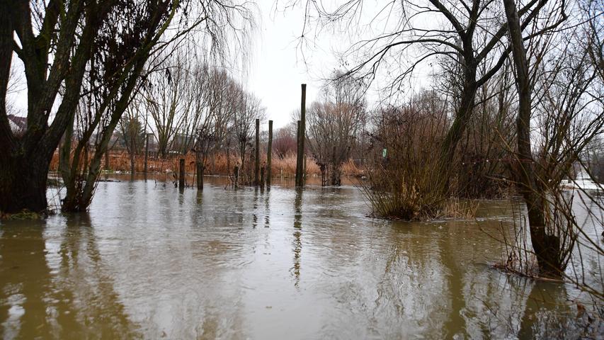 Erst fest, dann flüssig: Hochwasser im LGS-Park