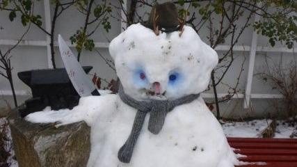 Ziemlich unheimlich: Diesen Schneemann hat ein Unbekannter nachts in den Garten eines 24-Jährigen gebaut. Die Polizei geht der Sache nun nach.