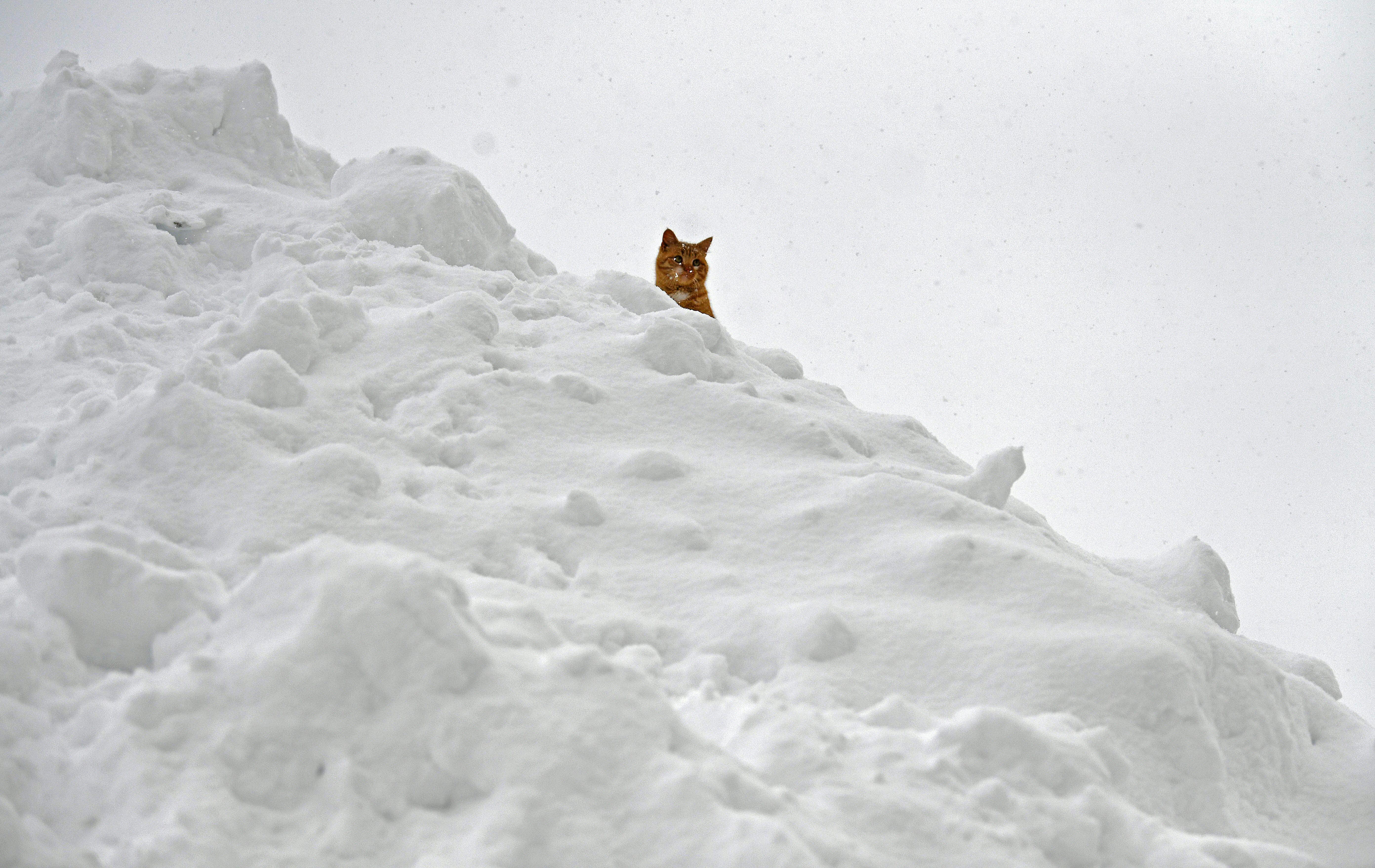 Angesichts neuer möglicher Schneefälle bereitet sich Österreich auf hohe Lawinenwarnstufen vor.