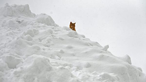 Angesichts neuer möglicher Schneefälle bereitet sich Österreich auf hohe Lawinenwarnstufen vor.