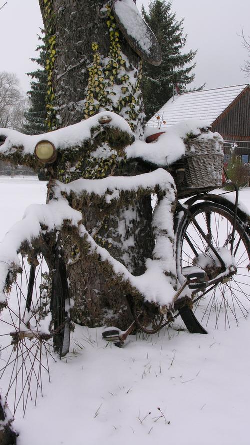 Eingeschneit: Dieses Fahrrad lehnt allerdings schon etwas länger an dem Baum in Wolfsbronn.