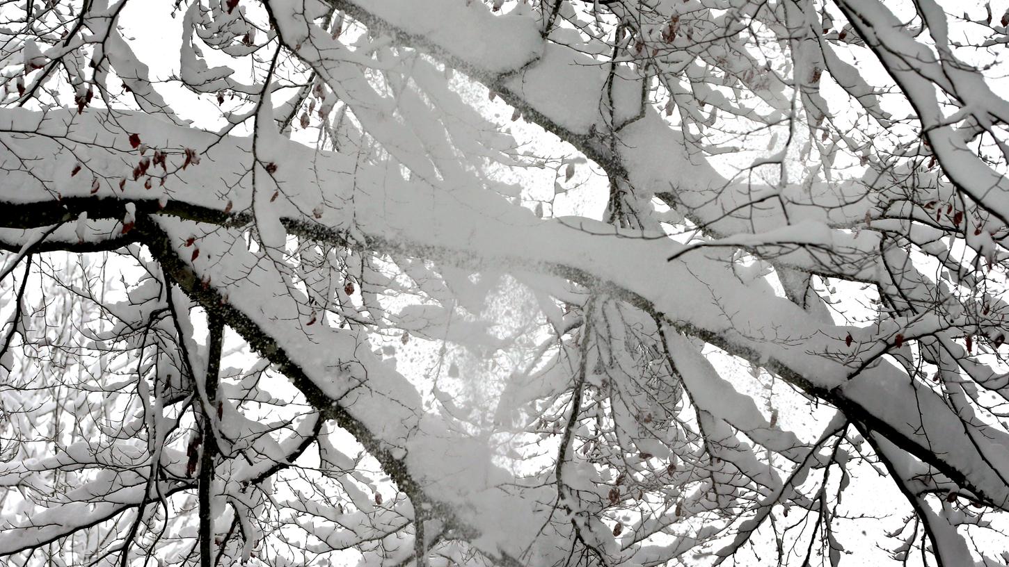 Die hohe Schneelast auf vielen Bäumen ist ein Problem. Nahe München wurde ein neunjähriger Junge von einem Baum erschlagen.