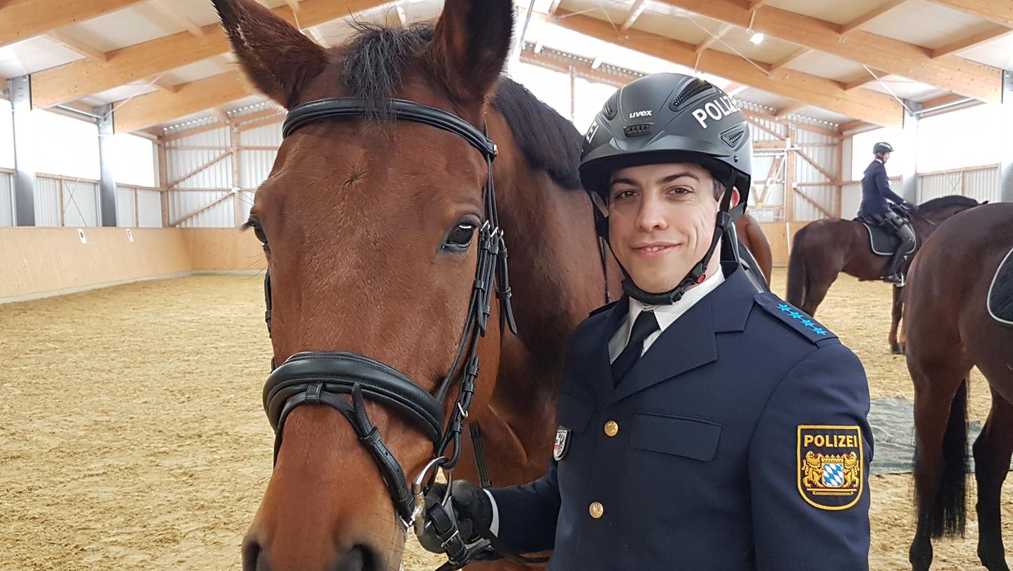 Wallach Hermes ist bereits länger im Dienst der mittelfränkischen Polizei - bis Ende 2020 sollen es dann 20 Pferde sein.